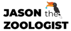 official logo rectangle